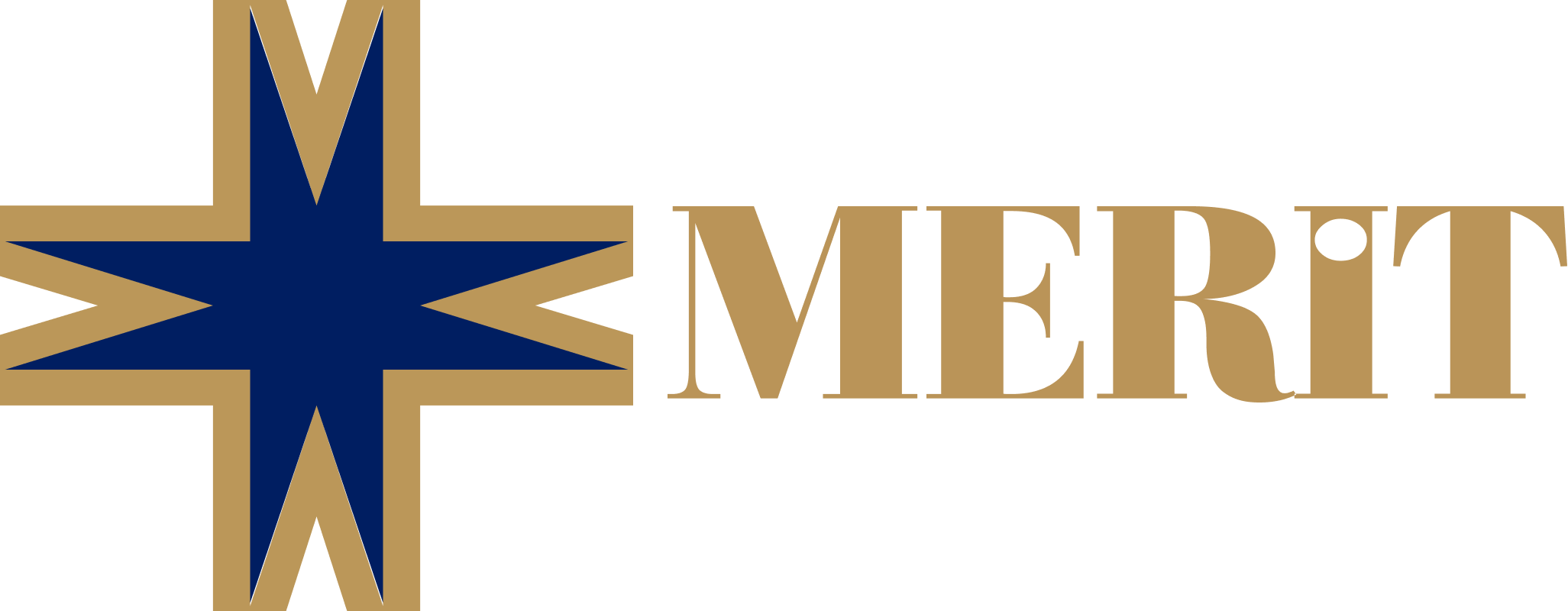 Merit Survey